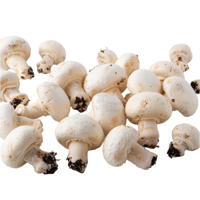 Шампиньоны свежие 500 г - купить в База-Куяново